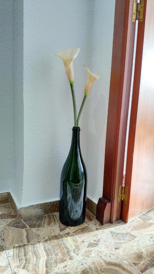 Perfect Apartment Near The Beach Alicante Esterno foto